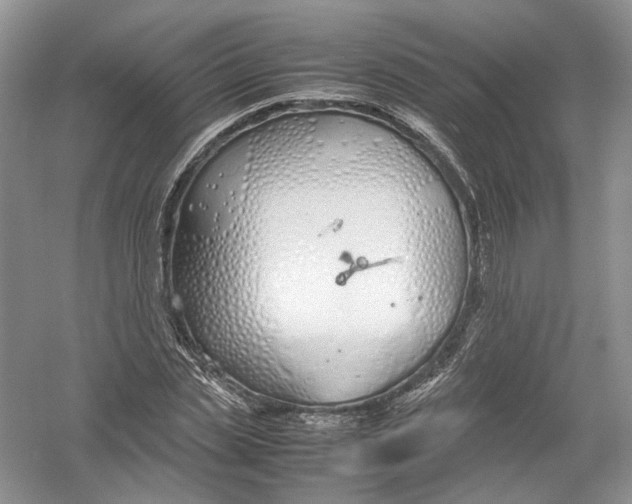 X0000054370829200508262339