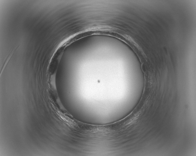 X0000054370830200508262339