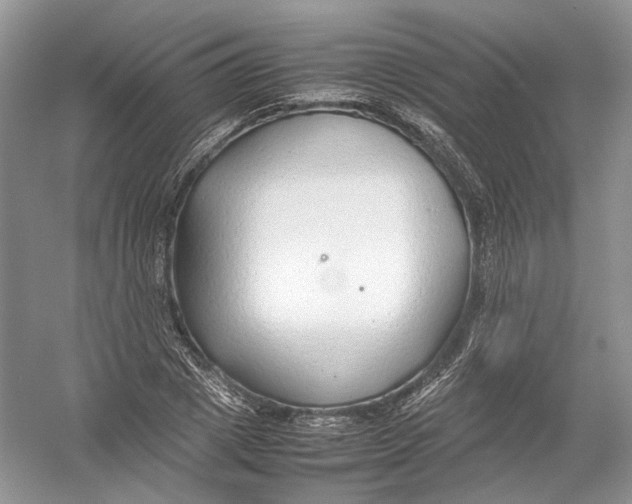 X0000054370833200508262339