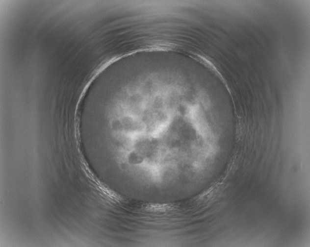 X0000054370835200508262339