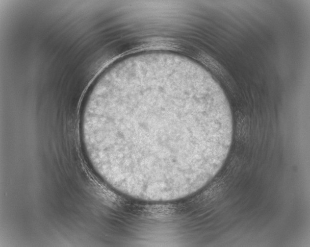 X0000054370836200508262339