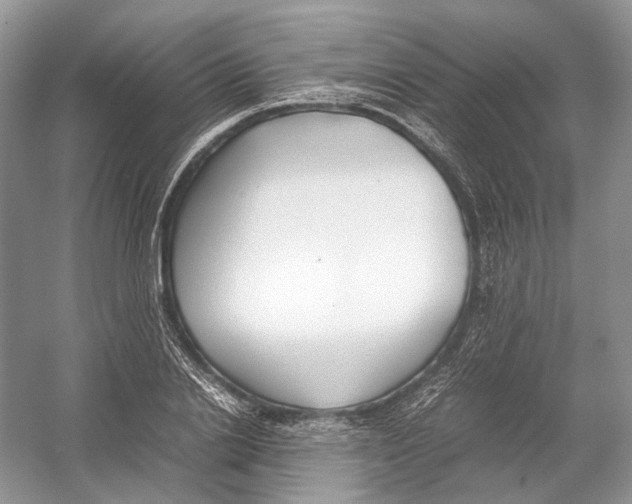 X0000054370838200508262339