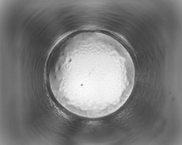 X0000054370839200508262339