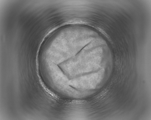 X0000054370840200508262339