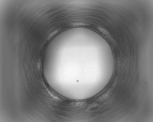 X0000054370841200508262339