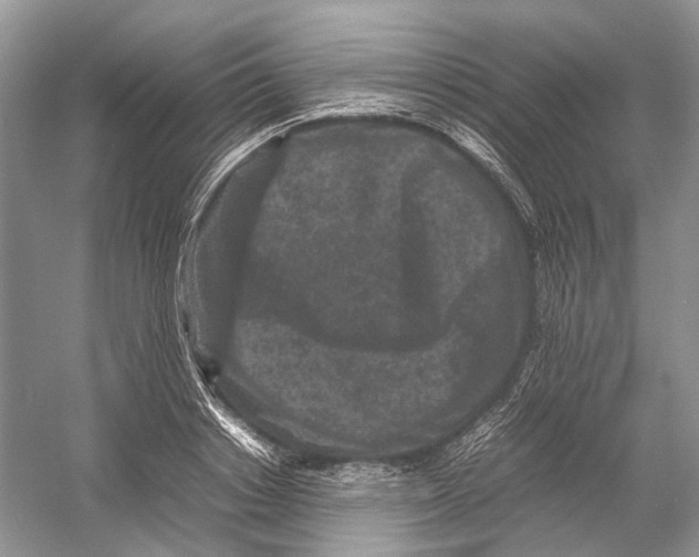 X0000054370842200508262339