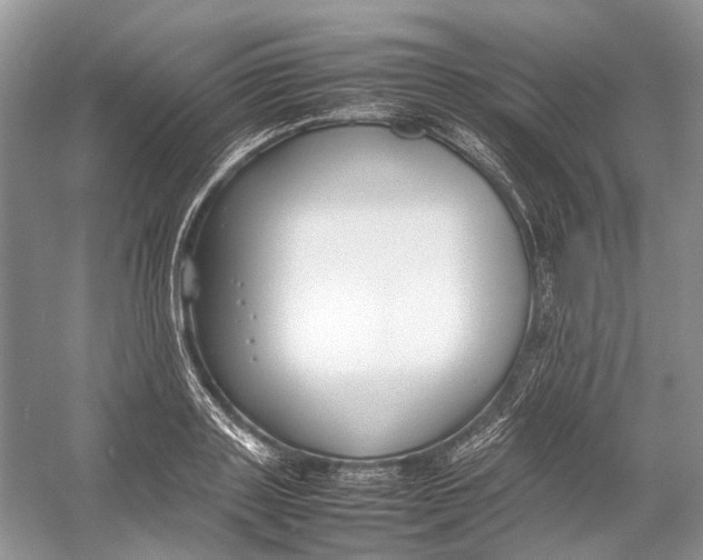 X0000054370843200508262339