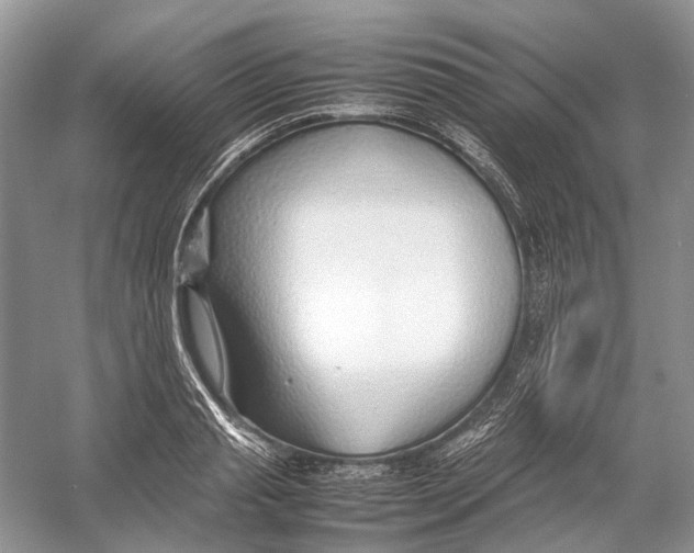 X0000054370845200508262339