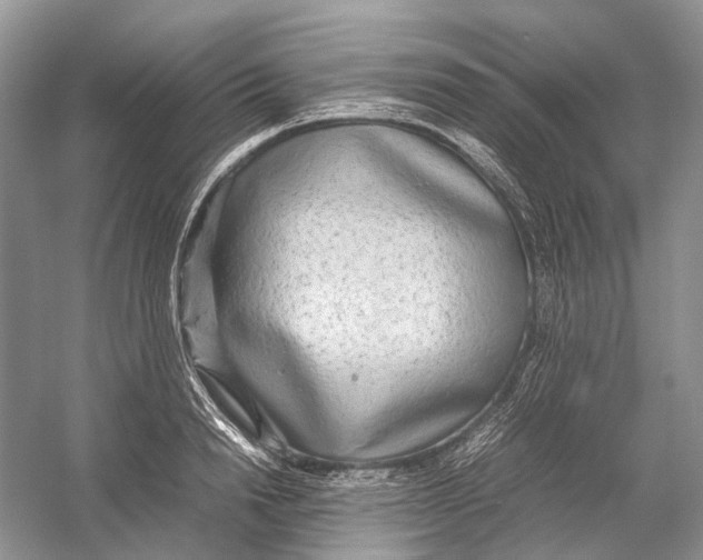 X0000054370846200508262339