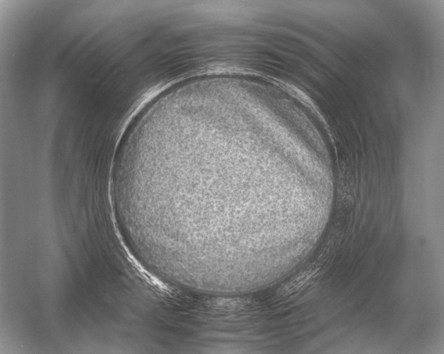 X0000054370847200508262339