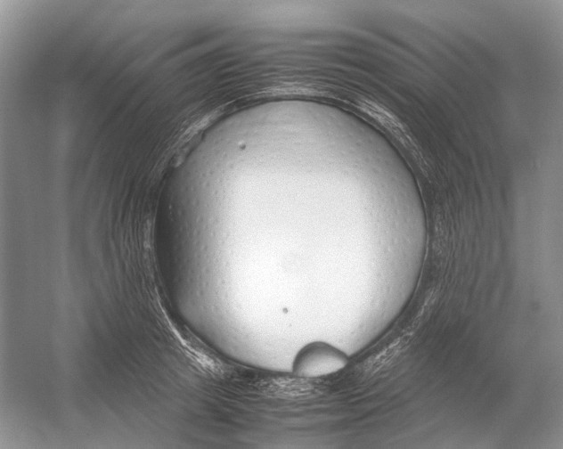 X0000054370849200508262339