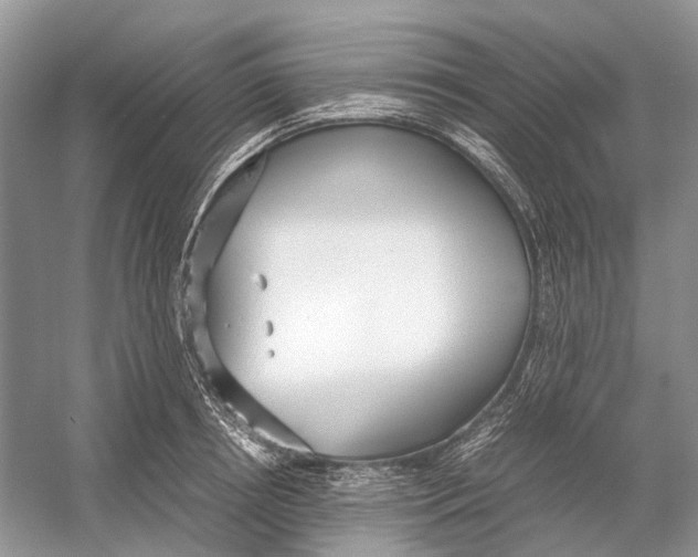 X0000054370850200508262339