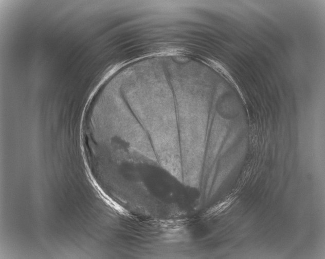 X0000054370851200508262339