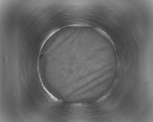 X0000054370855200508262339