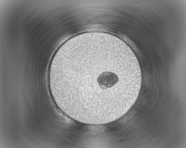 X0000054370856200508262339