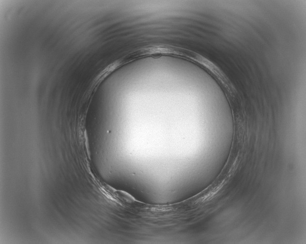 X0000054370857200508262339