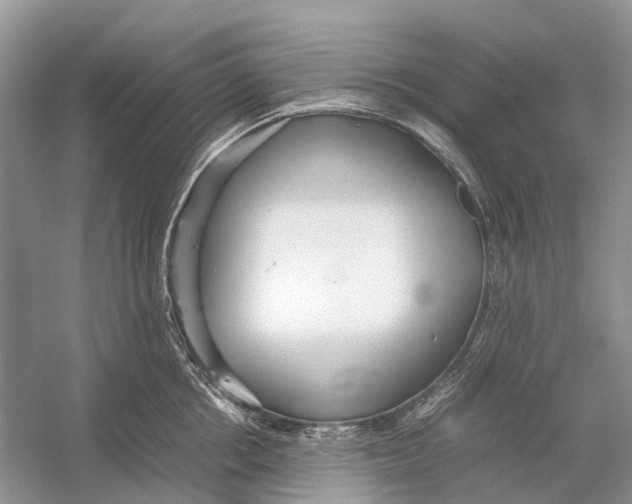 X0000054370858200508262339