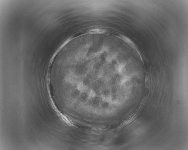 X0000054370859200508262339