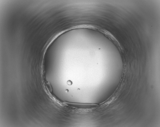 X0000054370860200508262339