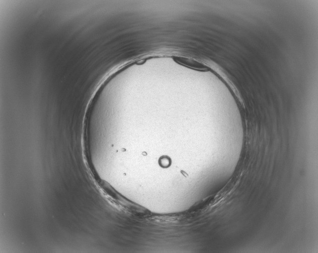 X0000054370861200508262339