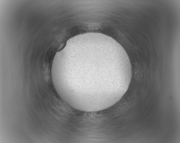 X0000054370866200508262338