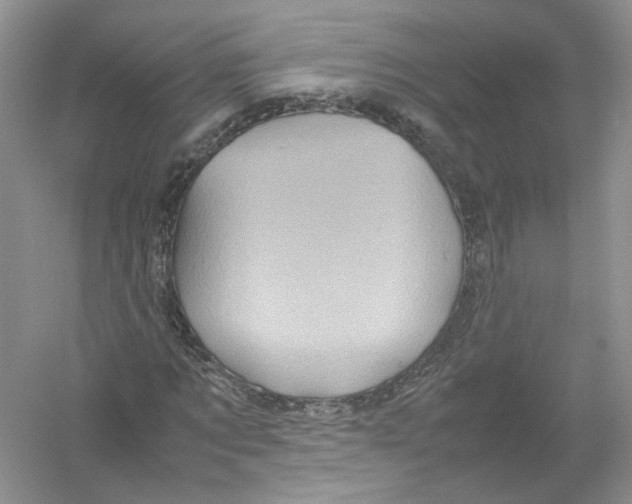 X0000054370869200508262338