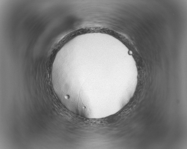 X0000054370871200508262338