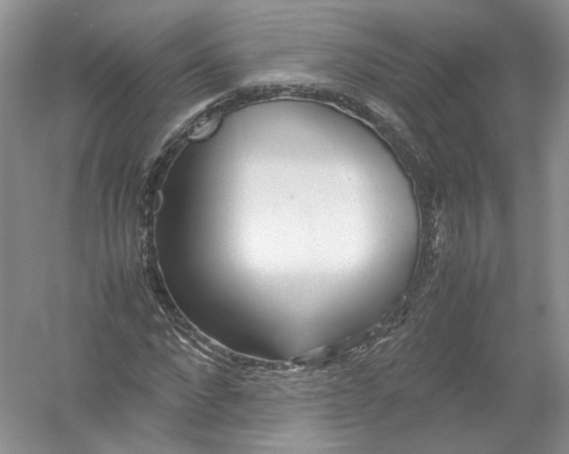 X0000054370872200508262338