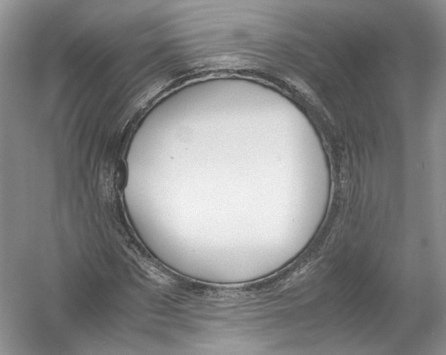 X0000054370873200508262338