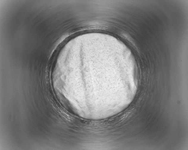 X0000054370875200508262338