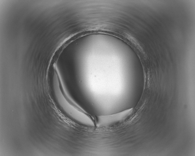 X0000054370876200508262338