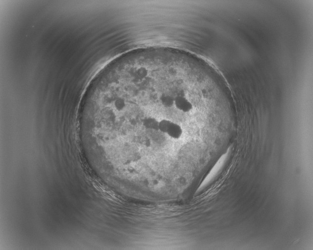 X0000054370879200508262338