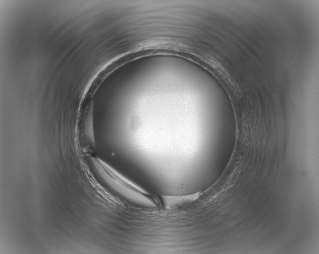 X0000054370880200508262338