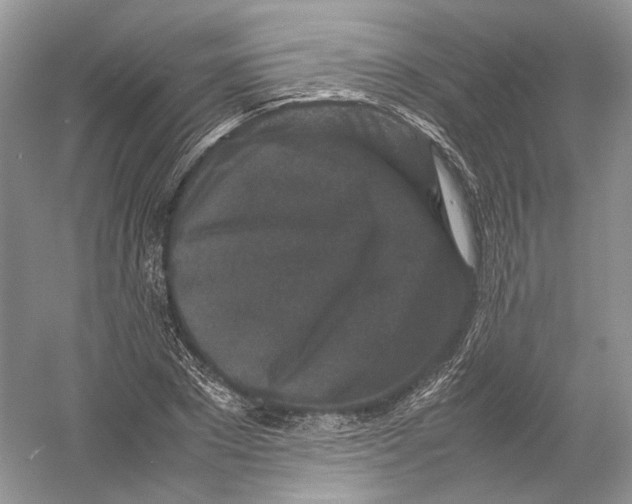 X0000054370881200508262338