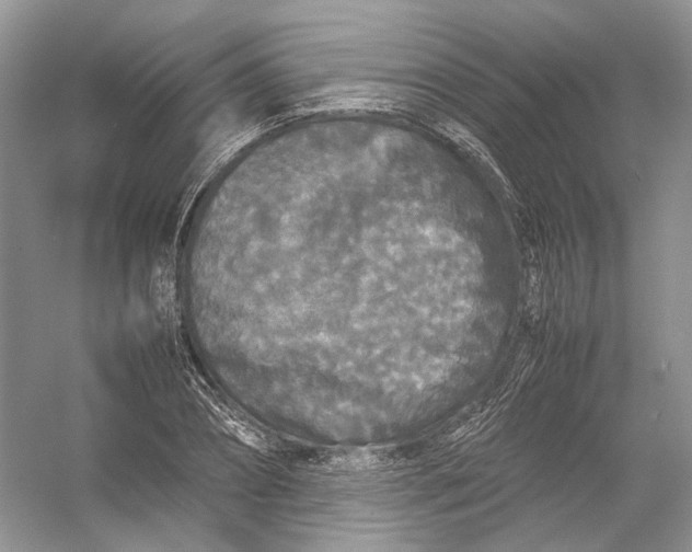 X0000054370882200508262338