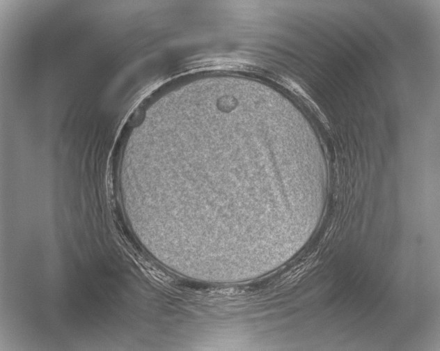 X0000054370883200508262338