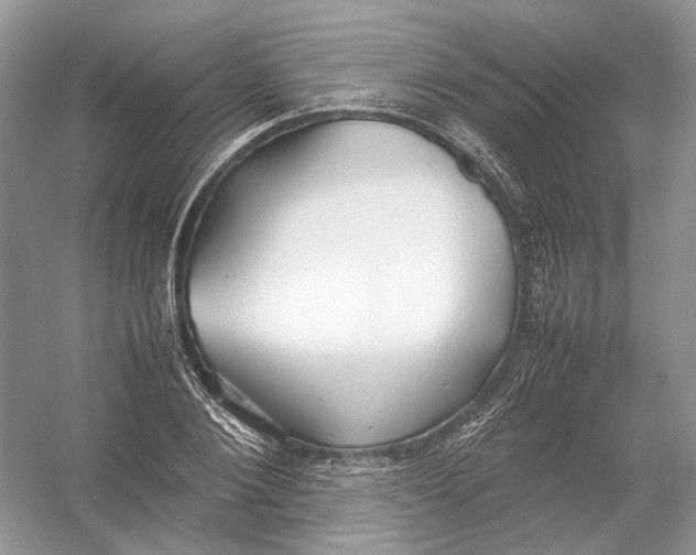 X0000054370884200508262338