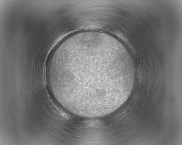 X0000054370886200508262338