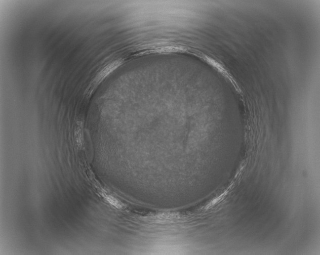 X0000054370889200508262338