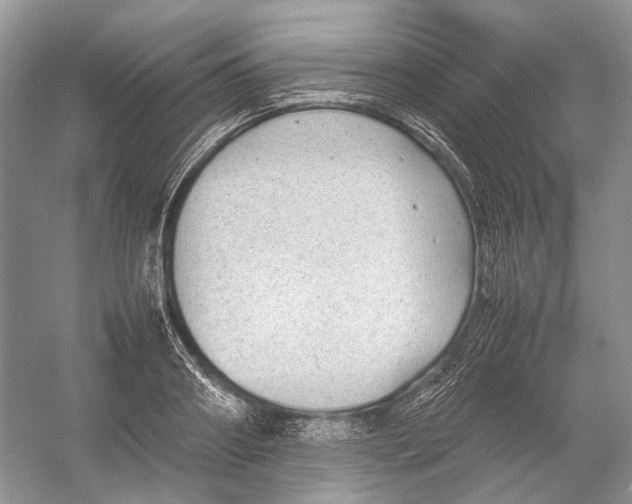 X0000054370890200508262338