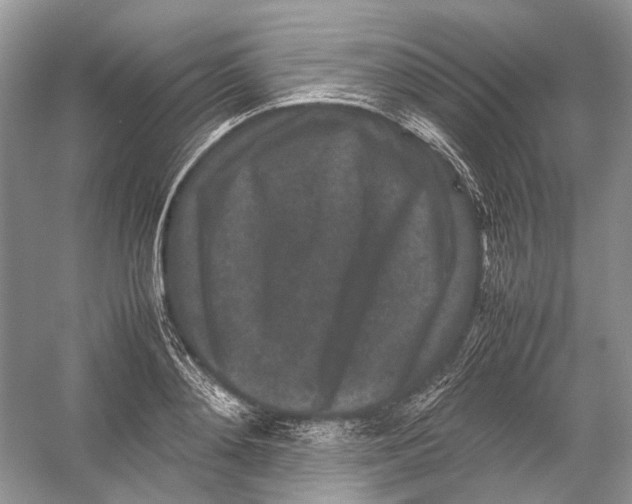 X0000054370892200508262338