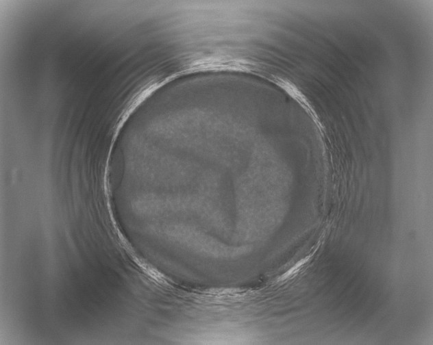 X0000054370893200508262338