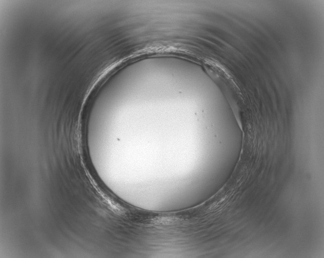 X0000054370894200508262338