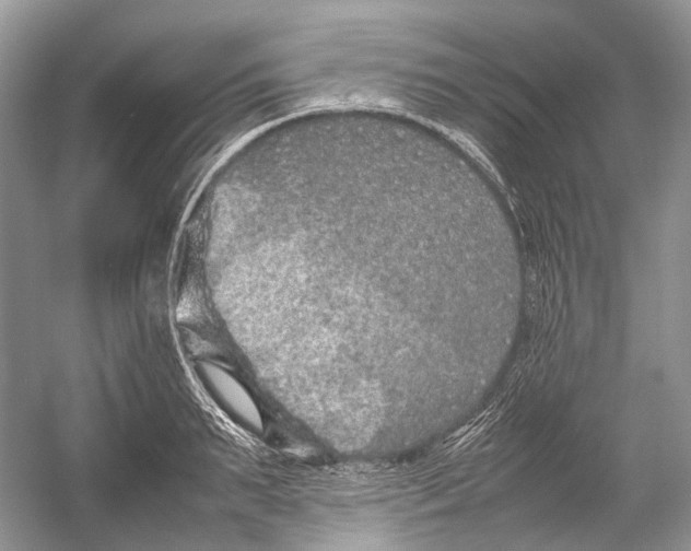 X0000054370895200508262338