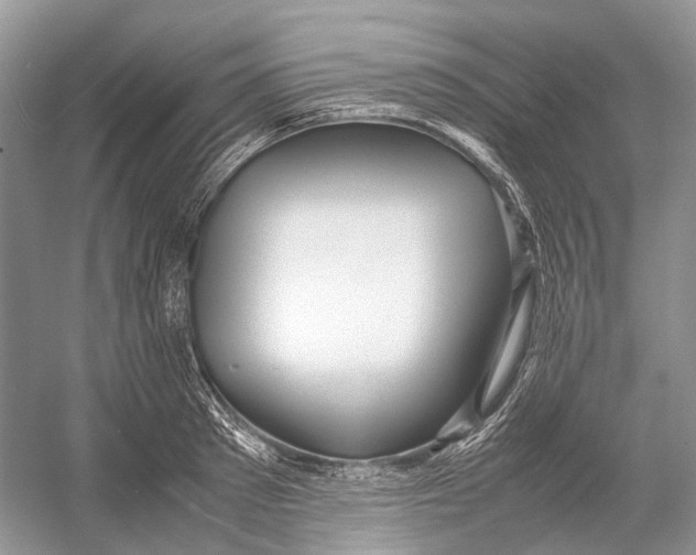 X0000054370897200508262338