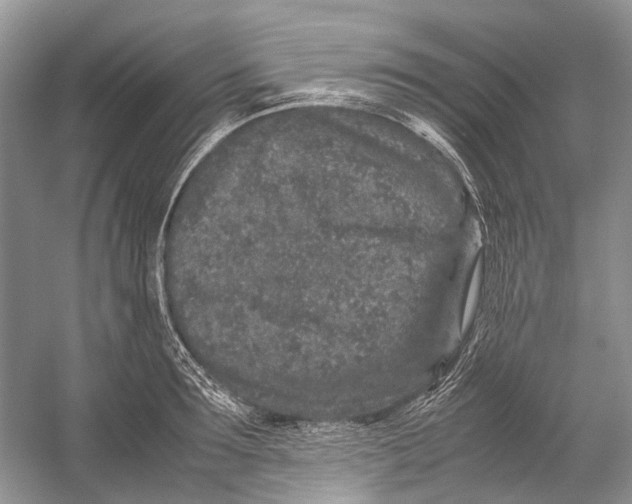 X0000054370899200508262338