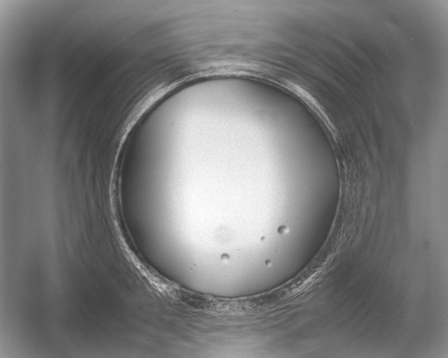 X0000054370901200508262338