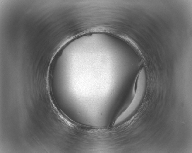 X0000054370902200508262338