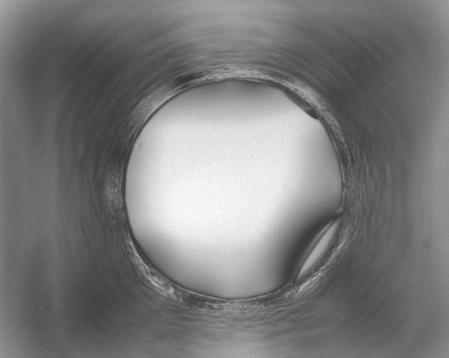 X0000054370905200508262338