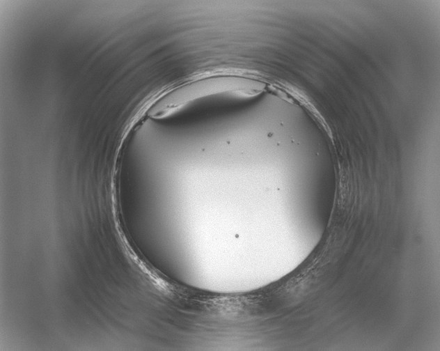 X0000054370906200508262338